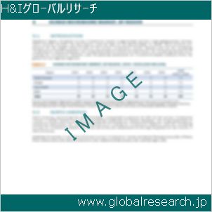 グローバルリサーチ調査レポートのイメージ